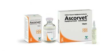 Ascorvet