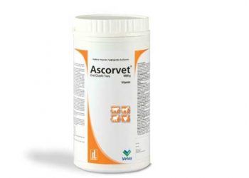 Ascorvet Oral Çözelti