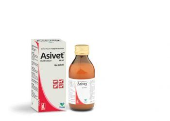 Asivet