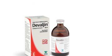 Devaljin