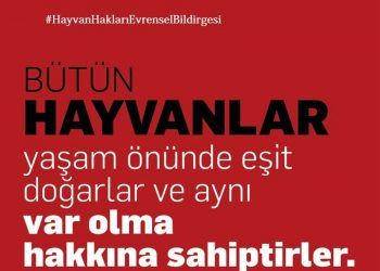 Hayvan Hakları Evrensel Bildirgesi