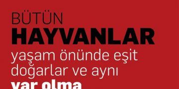 Hayvan Hakları Evrensel Bildirgesi