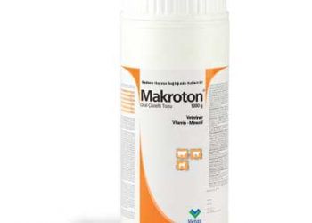 Makroton
