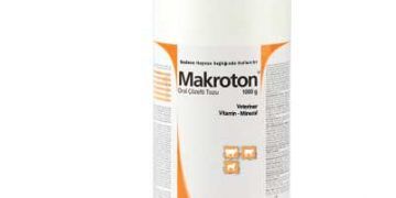 Makroton