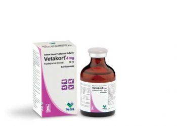 Vetakort 4mg