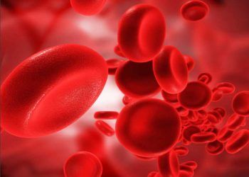 Çinko ve Bakırın Bağışıklık Sistemine Etkisi