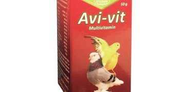 Avi-vit