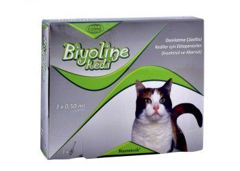Biyoline Kedi