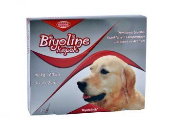 Biyoline Köpek