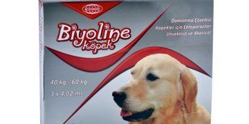 Biyoline Köpek