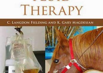 Atların Sıvı Tedavisi