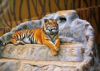 Gaziantep Hayvanat Bahçesi 3,5 milyon turisti ağırladı