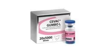 Cevac Gumbo L
