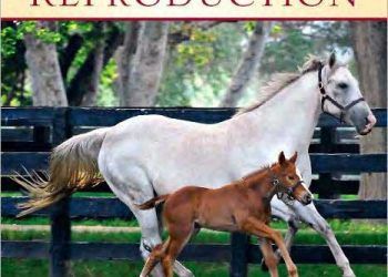 Atların Üreme El Kitabı