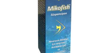 Mikofish