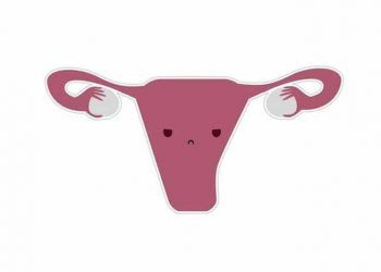 Büyük uterusa sahip ineklerde düşük gebelik oranı