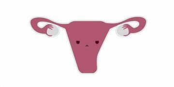 Büyük uterusa sahip ineklerde düşük gebelik oranı