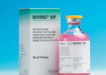 Bovilis Bovipast RSP