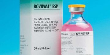 Bovilis Bovipast RSP