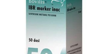 Bovilis IBR Marker inac