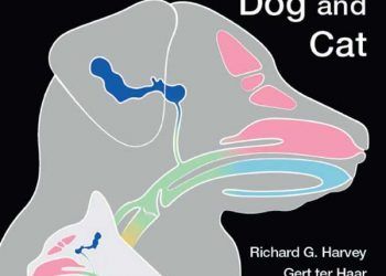 Köpek ve Kedilerin Kulak Burun Boğaz Hastalıkları