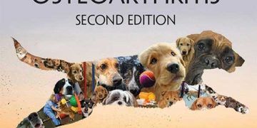 Köpeklerde Osteoartritinin Multimodal Yönetimi