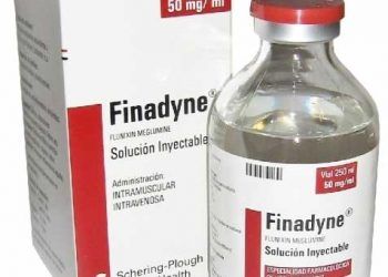 Finadyne