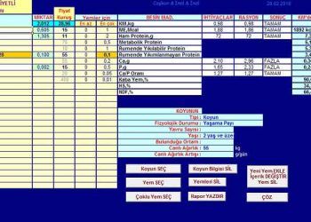 Koyun Rasyon Programı