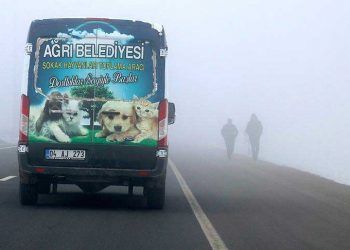 'Kara kış'ta sokak hayvanlarını unutmadılar