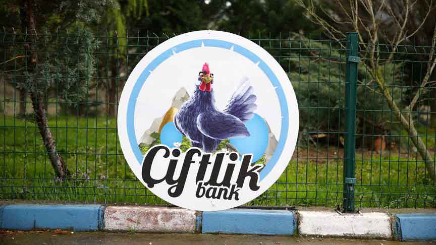 Çiftlik Bank tesisindeki tavuklar satıldı