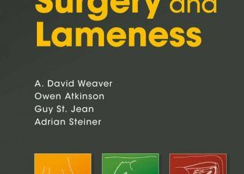 Sığır Cerrahisi ve Topallık