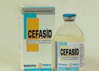 Cefasid