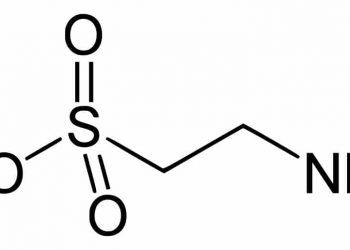 Köpeklerde Taurin Önemi
