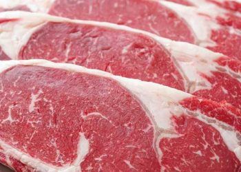 Kırmızı Et Çalıştayı