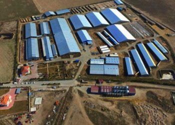 Çiftlik Bank'tan sonra Sütbank da battı