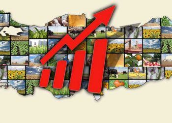 Tarımsal GSYH % 16,9 artarak 2017'de 188,6 milyar TL'ye ulaştı