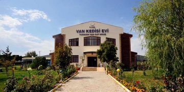 Van Kedisi Evi
