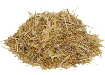 Yulaf Samanı Nedir?