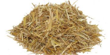 Yulaf Samanı Nedir?