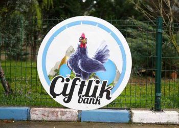 Çiftlik Bank tesisindeki tavuklar satıldı