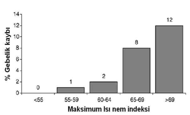 İneklerde Sıcaklık Stresinin ısı nem grafiği