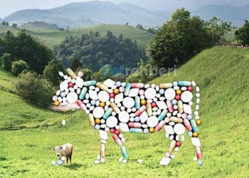 ABD'de antibiyotik kullanımı Birleşik Krallığın çok çok ötesinde