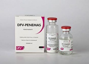 DFV Penemas