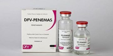DFV Penemas