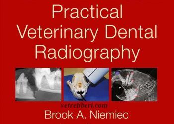 Pratik Veteriner Hekimlikte Diş Radyografisi