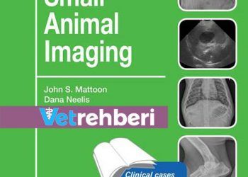 Küçük Hayvan Görüntülemesi: Öz Değerlendirme Renkli İnceleme