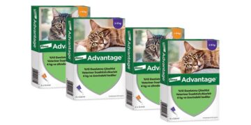 Advantage %10