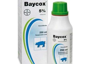 Baycox %5