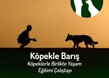 Köpekle Barış 4-5 Mayıs 2018
