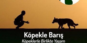 Köpekle Barış 4-5 Mayıs 2018